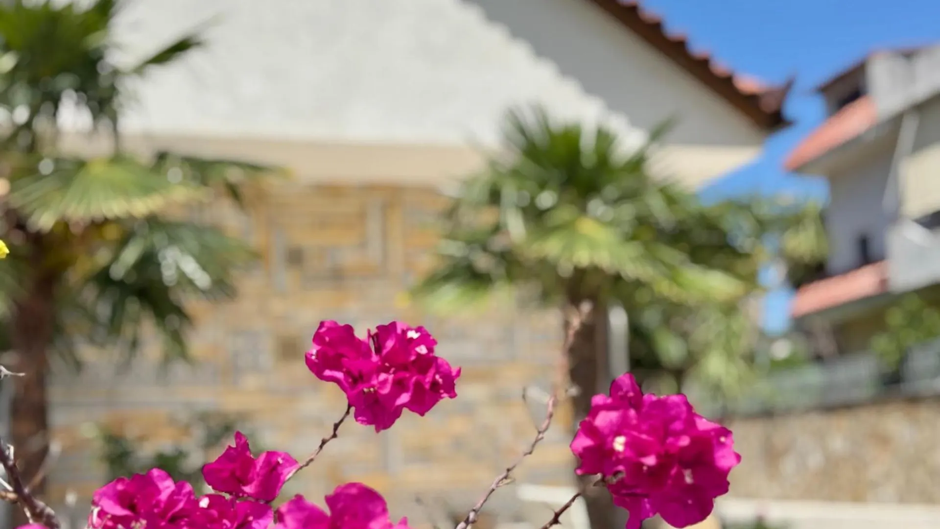 Villa Ida Apartments Vlorë