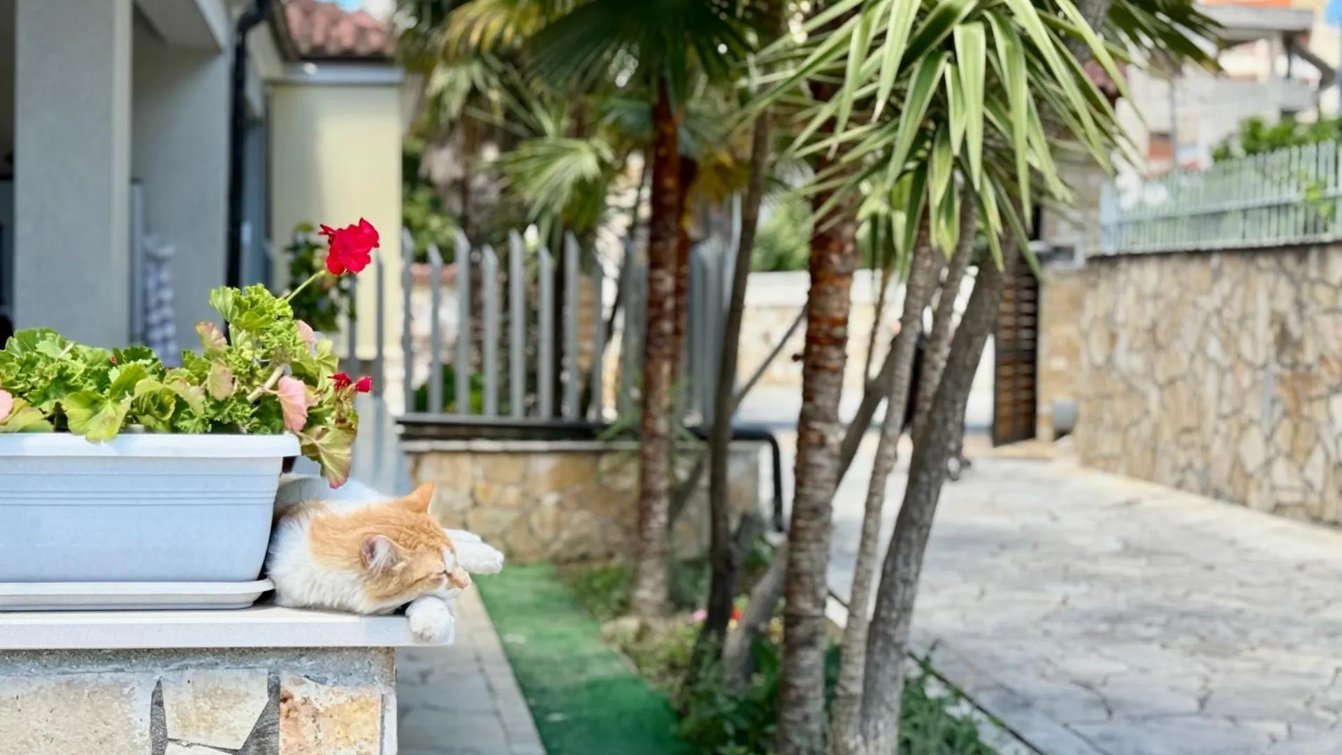 Vlorë Villa Ida Apartments 0*,  אלבניה