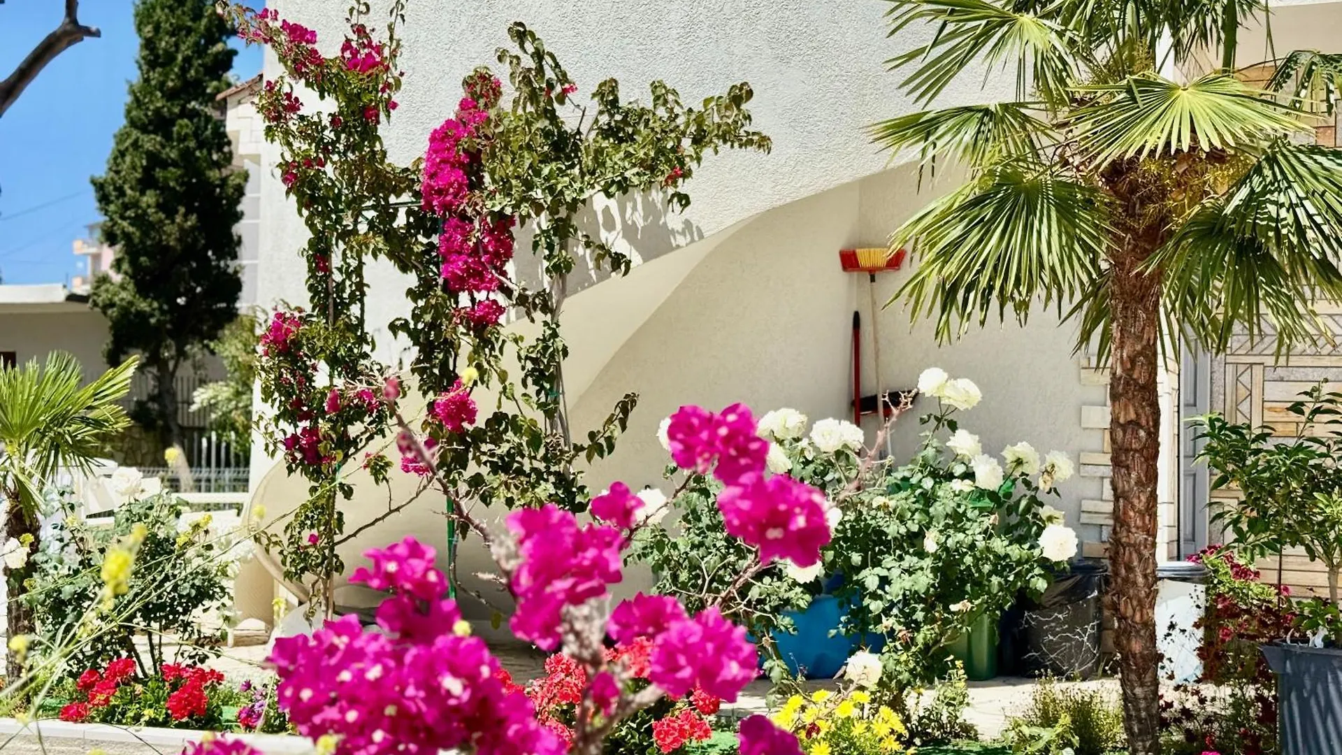 Villa Ida Apartments Vlorë