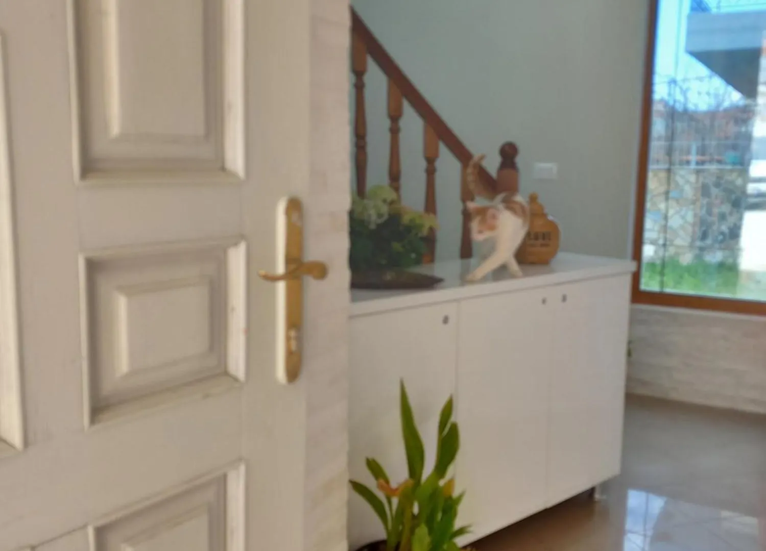 Villa Ida Apartments Vlore