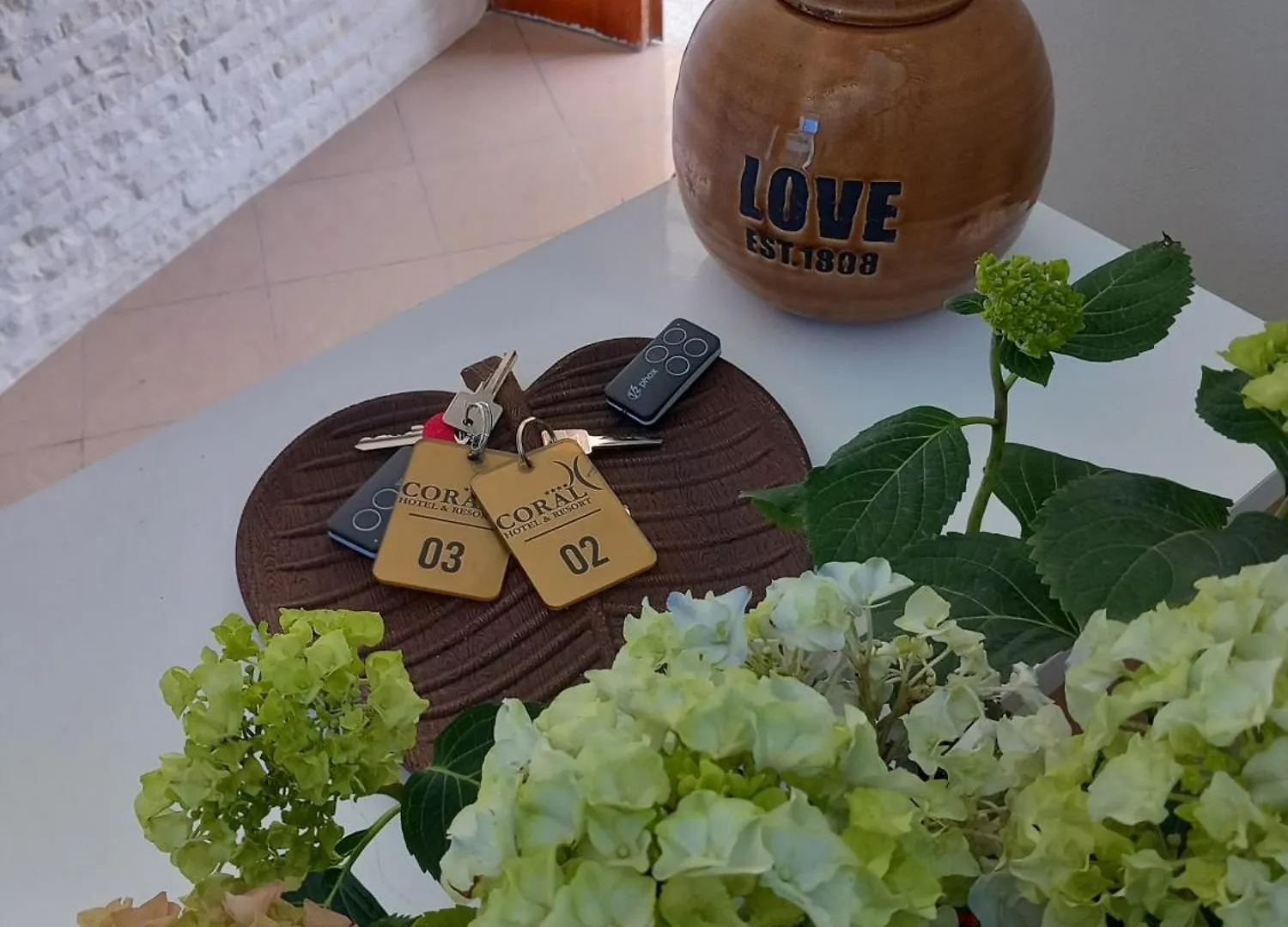 Villa Ida Apartments contacts